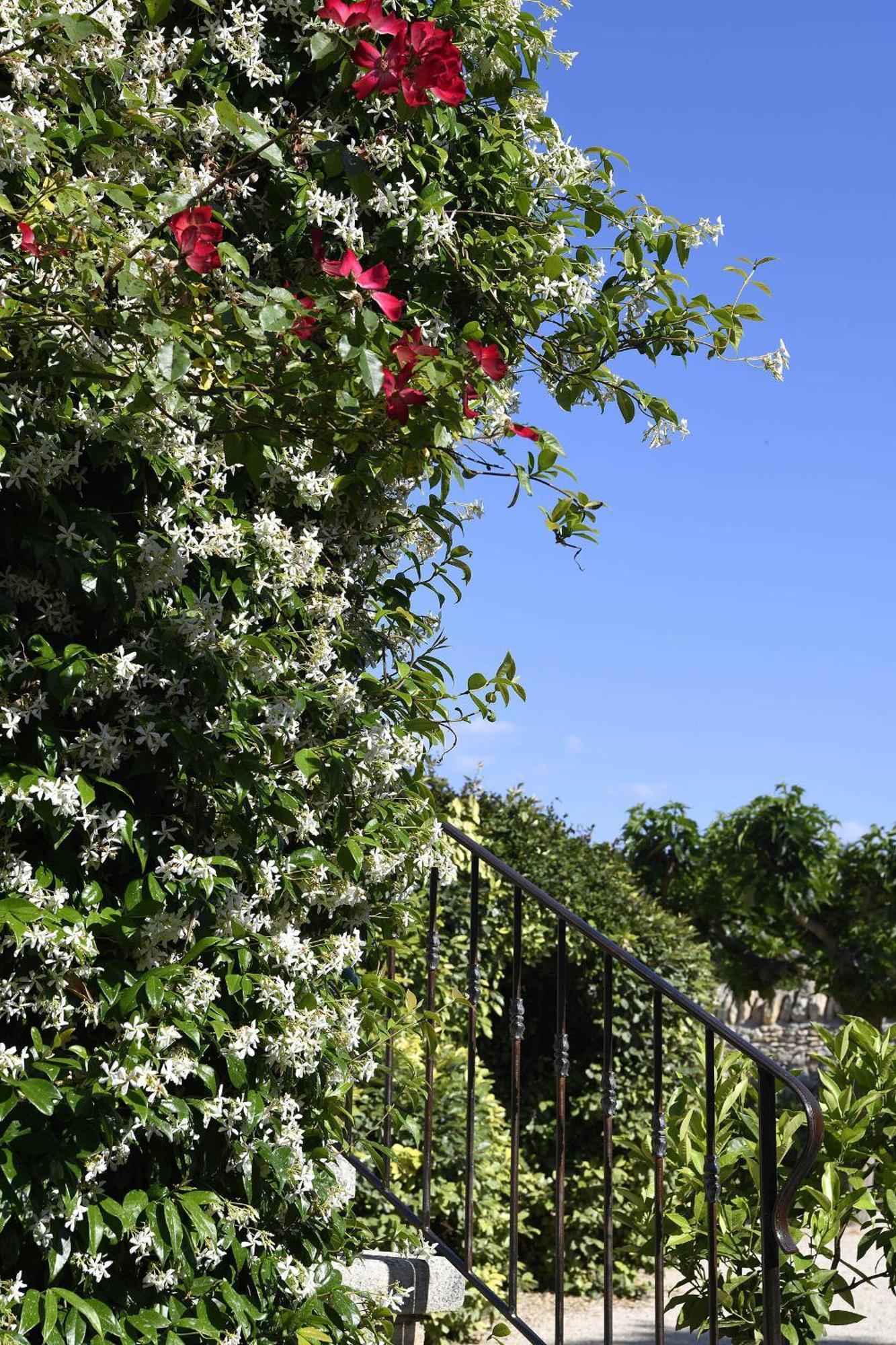 Bastide Des Demoiselles Bed and Breakfast Roussillon en Isere Εξωτερικό φωτογραφία