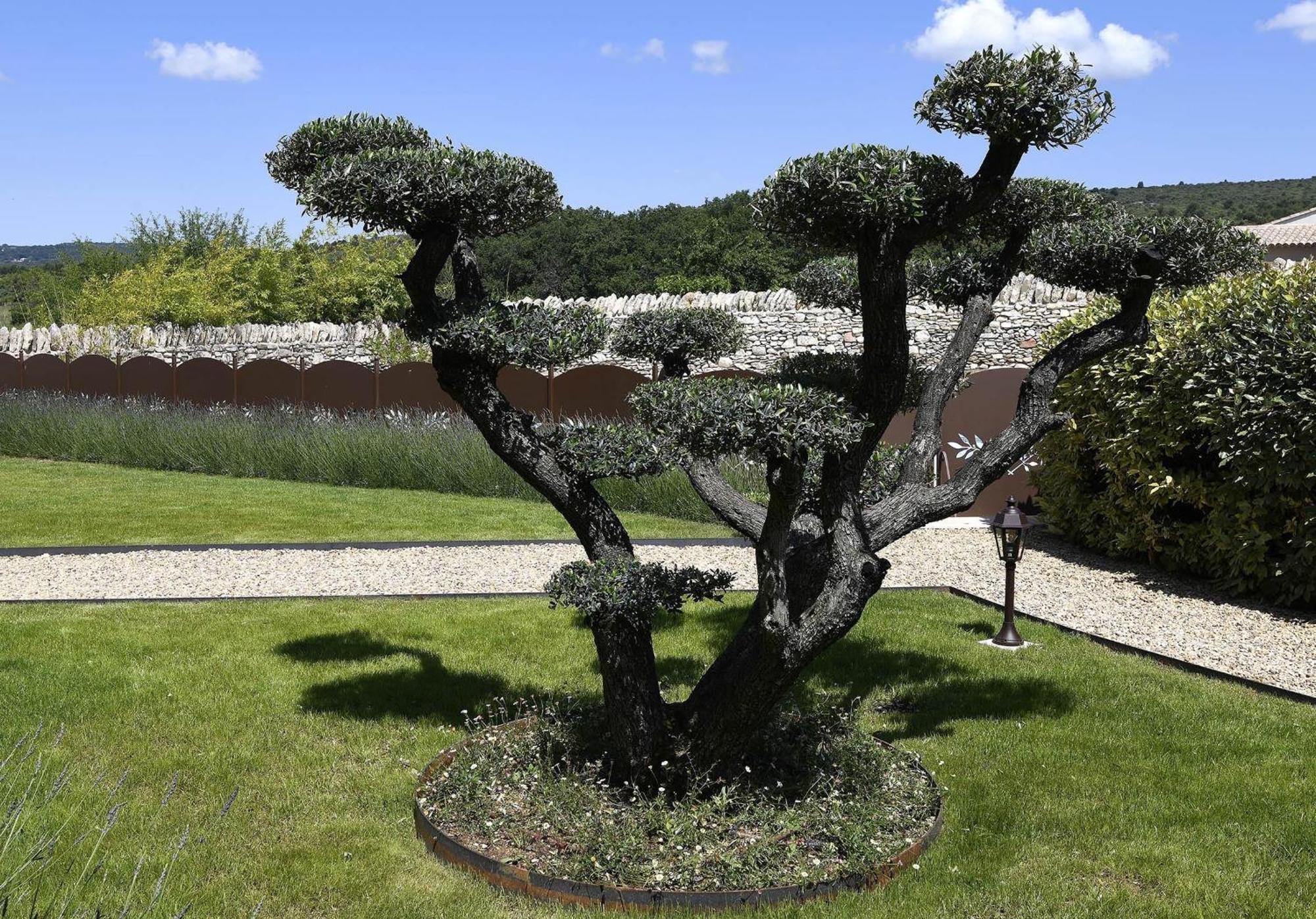 Bastide Des Demoiselles Bed and Breakfast Roussillon en Isere Εξωτερικό φωτογραφία
